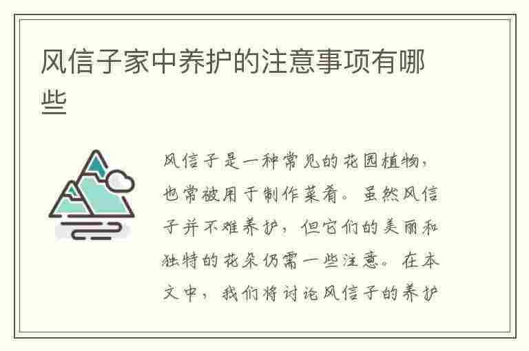 风信子家中养护的注意事项有哪些